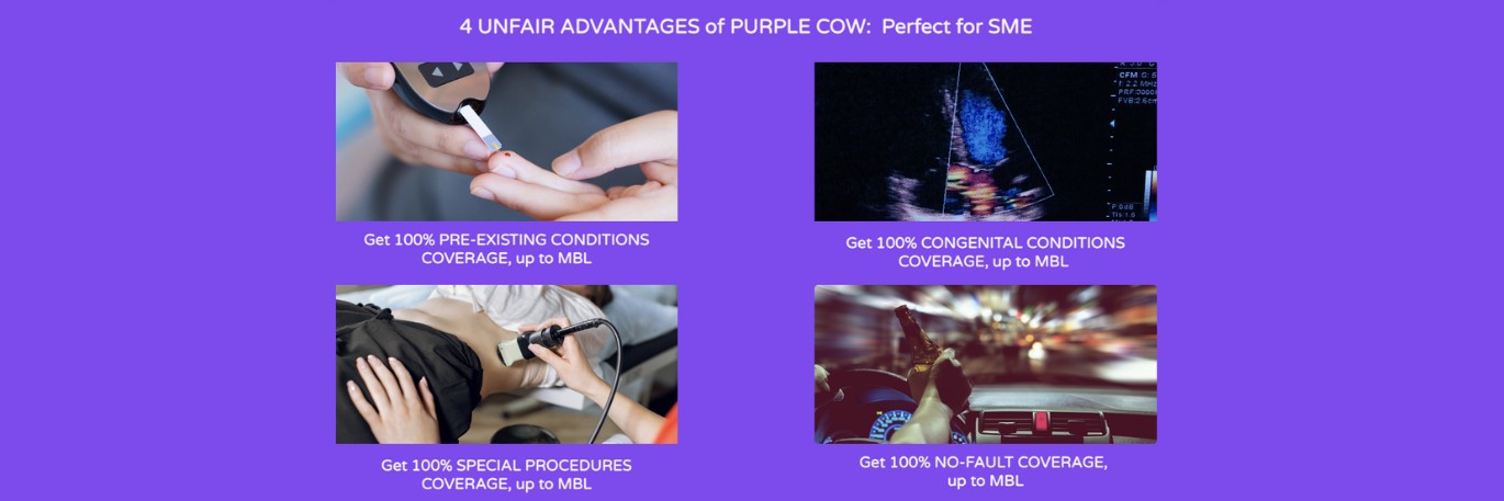 0-02-06-3bc0ac62604f4b7e211ce75cfdf808642d3efd61266b161064cbca7dcc1663f9_1f8a5556f6e7c4